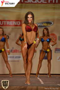 Men’s Physique & Bikini Stars - 2017