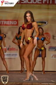 Men’s Physique & Bikini Stars - 2017