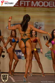 Men’s Physique & Bikini Stars - 2017