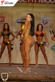 Men’s Physique & Bikini Stars - 2017