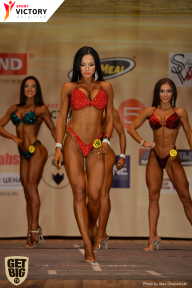 Men’s Physique & Bikini Stars - 2017