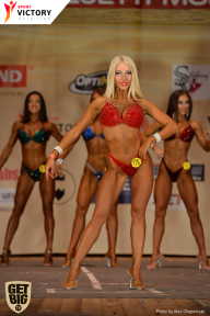 Men’s Physique & Bikini Stars - 2017