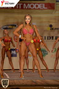 Men’s Physique & Bikini Stars - 2017