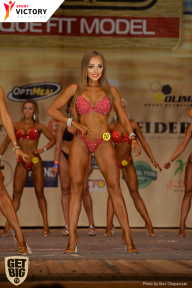 Men’s Physique & Bikini Stars - 2017
