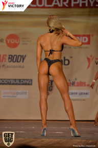 Men’s Physique & Bikini Stars - 2017