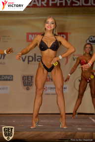 Men’s Physique & Bikini Stars - 2017