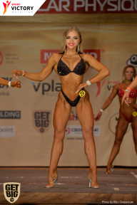 Men’s Physique & Bikini Stars - 2017