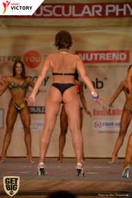 Men’s Physique & Bikini Stars - 2017