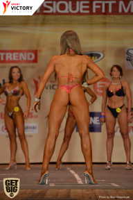 Men’s Physique & Bikini Stars - 2017