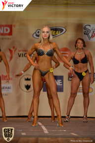 Men’s Physique & Bikini Stars - 2017