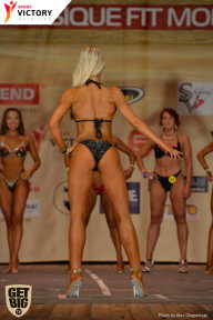 Men’s Physique & Bikini Stars - 2017