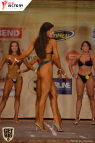 Men’s Physique & Bikini Stars - 2017