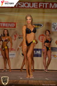Men’s Physique & Bikini Stars - 2017