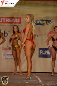 Men’s Physique & Bikini Stars - 2017