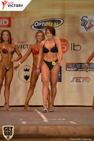 Men’s Physique & Bikini Stars - 2017