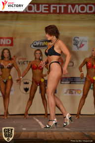 Men’s Physique & Bikini Stars - 2017