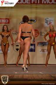 Men’s Physique & Bikini Stars - 2017