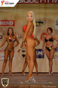 Men’s Physique & Bikini Stars - 2017