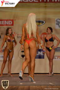 Men’s Physique & Bikini Stars - 2017