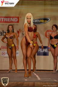 Men’s Physique & Bikini Stars - 2017
