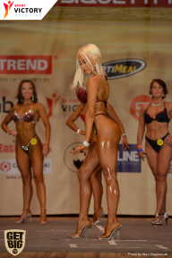 Men’s Physique & Bikini Stars - 2017