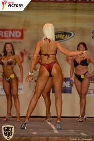 Men’s Physique & Bikini Stars - 2017
