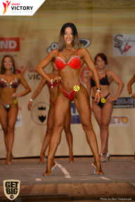 Men’s Physique & Bikini Stars - 2017