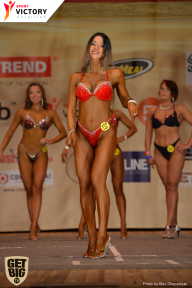 Men’s Physique & Bikini Stars - 2017