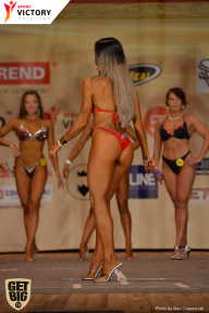 Men’s Physique & Bikini Stars - 2017