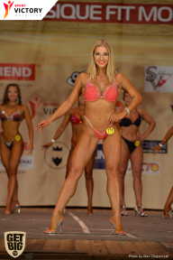 Men’s Physique & Bikini Stars - 2017
