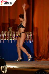 Men’s Physique & Bikini Stars - 2017