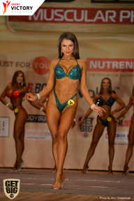 Men’s Physique & Bikini Stars - 2017