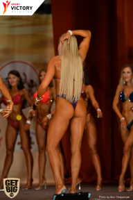 Men’s Physique & Bikini Stars - 2017