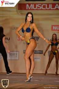 Men’s Physique & Bikini Stars - 2017