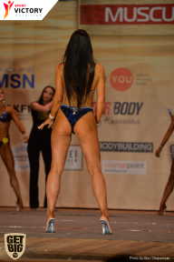 Men’s Physique & Bikini Stars - 2017