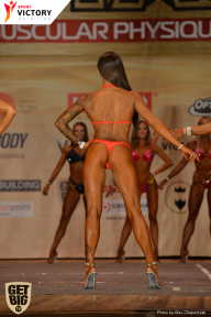 Men’s Physique & Bikini Stars - 2017