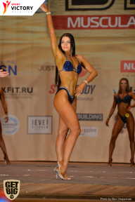Men’s Physique & Bikini Stars - 2017