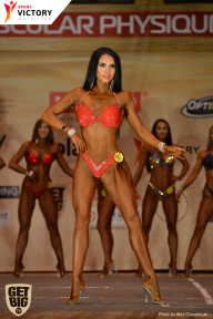 Men’s Physique & Bikini Stars - 2017