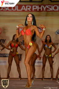 Men’s Physique & Bikini Stars - 2017