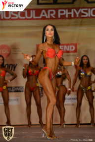 Men’s Physique & Bikini Stars - 2017