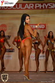 Men’s Physique & Bikini Stars - 2017