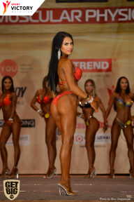 Men’s Physique & Bikini Stars - 2017