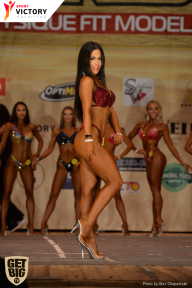 Men’s Physique & Bikini Stars - 2017