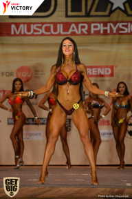 Men’s Physique & Bikini Stars - 2017