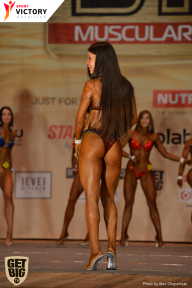 Men’s Physique & Bikini Stars - 2017