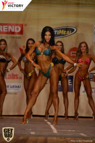 Men’s Physique & Bikini Stars - 2017