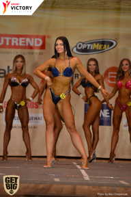Men’s Physique & Bikini Stars - 2017