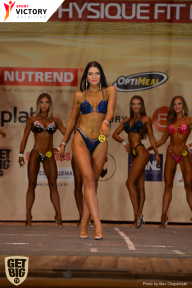 Men’s Physique & Bikini Stars - 2017