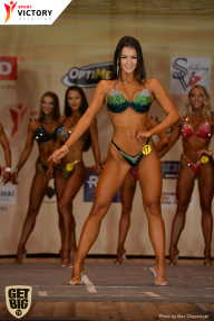 Men’s Physique & Bikini Stars - 2017