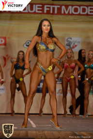 Men’s Physique & Bikini Stars - 2017